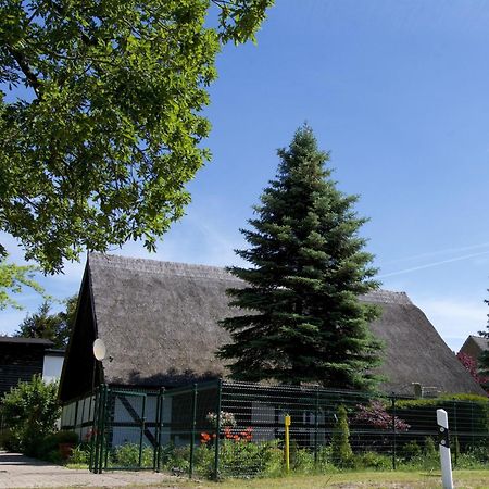 Welcoming Holiday Home In Gegensee Near Szczecin Lagoon Ahlbeck  외부 사진